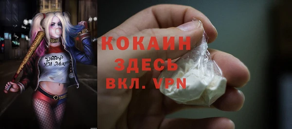 PSILOCYBIN Щучье