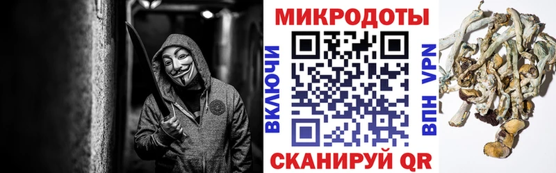 Галлюциногенные грибы GOLDEN TEACHER  Малгобек 